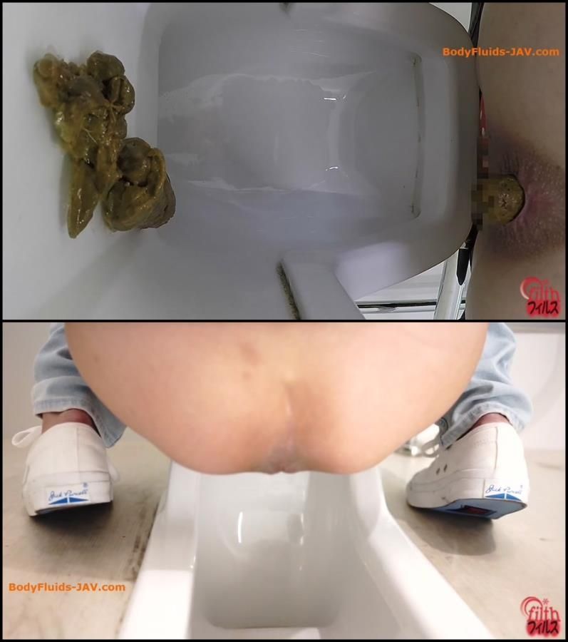 Voyeur toilet women poop