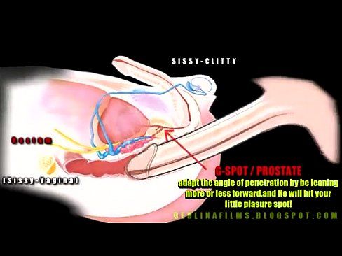 Porno sissy anatomy