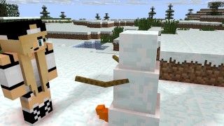 best of Snowman sebie minecraft winter