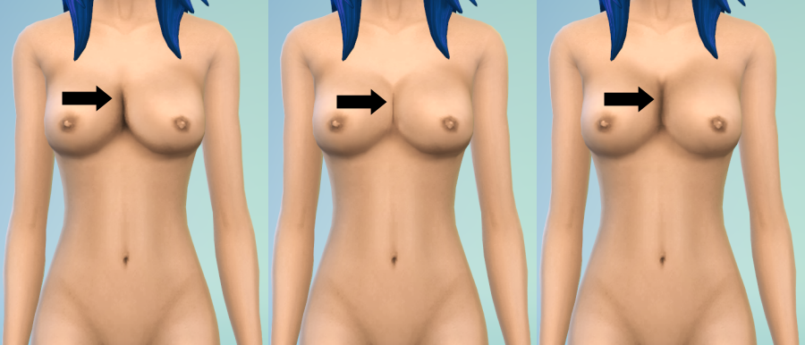 best of 4 pussy sims