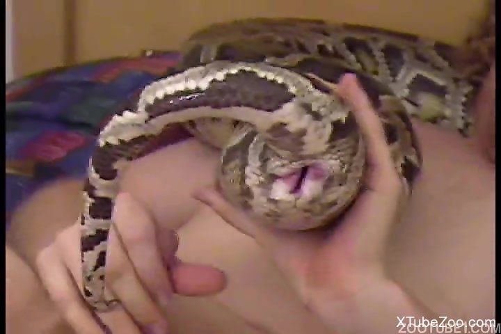 Snake inside pussy