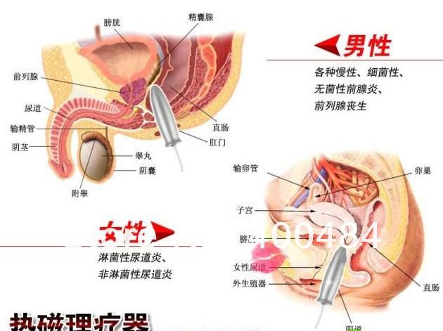 Porno sissy anatomy