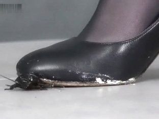 Viper reccomend marina stomping roaches sexy black heels