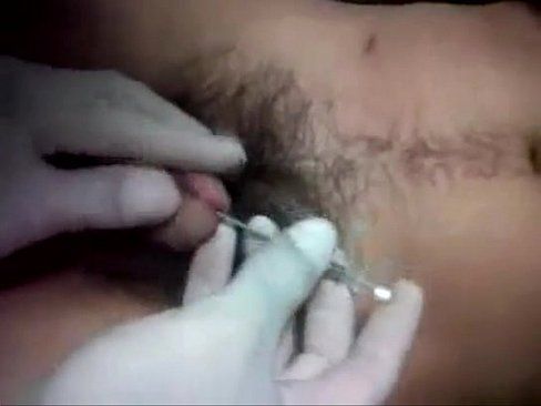 Handjob cock albert piercing