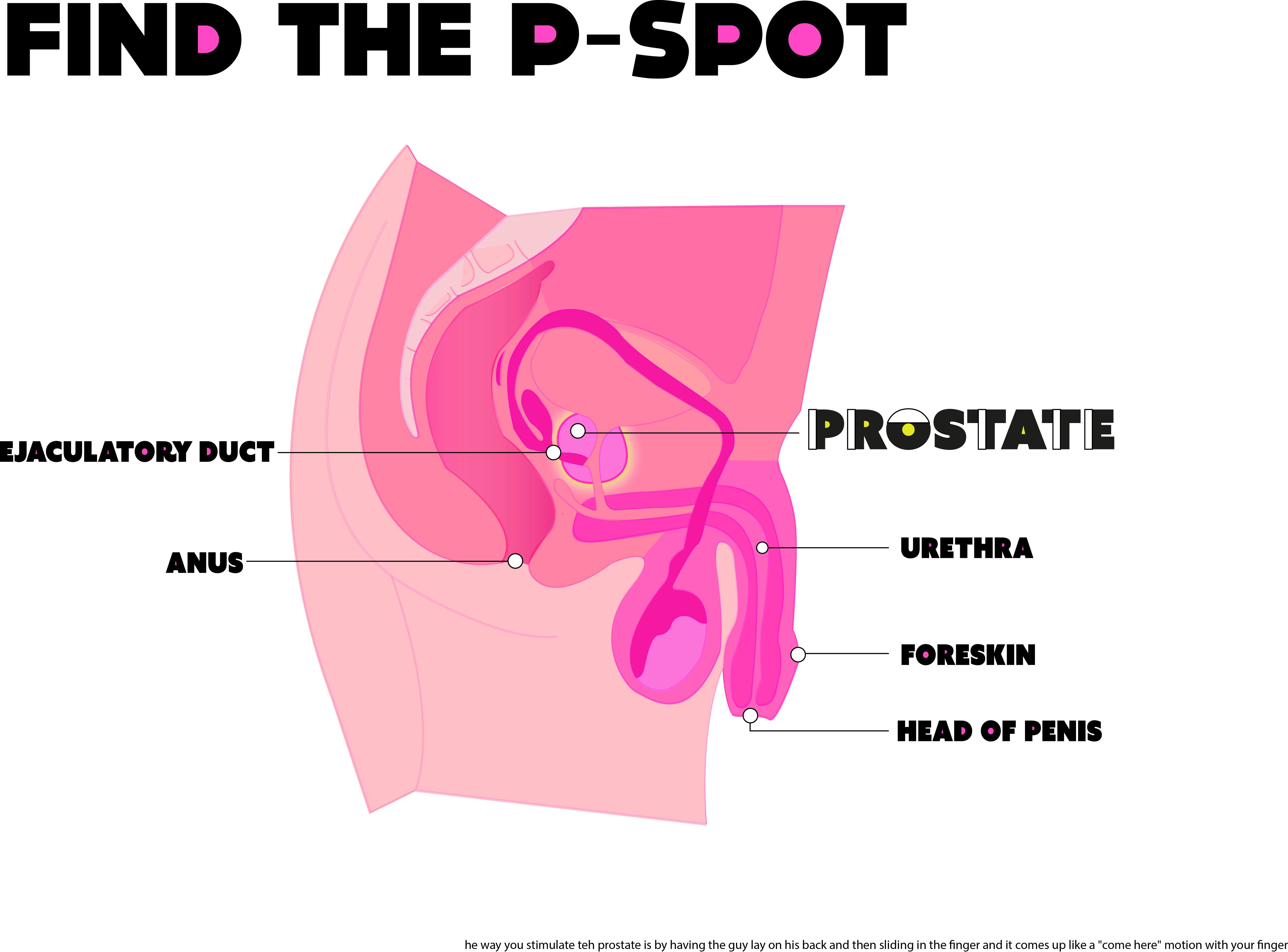 best of Spot find your