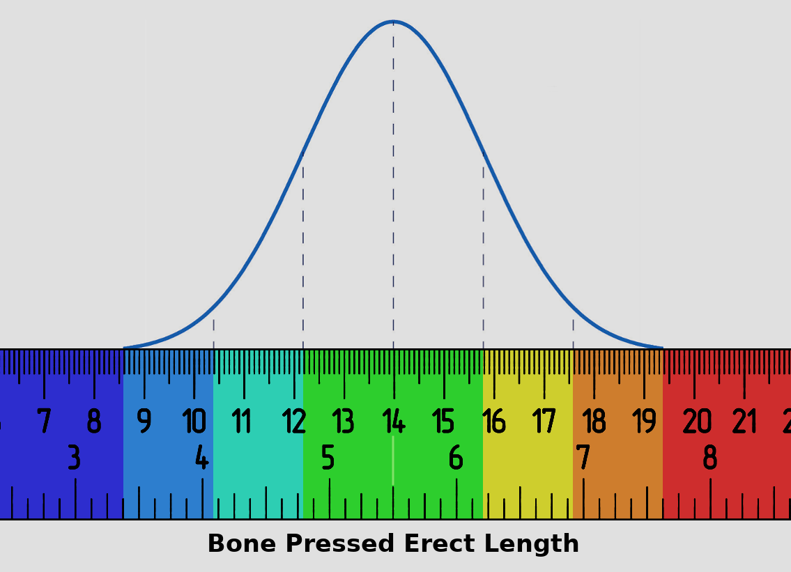 Micropenis inch erect girth measured