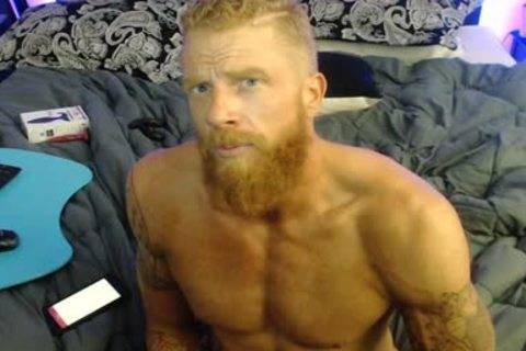 best of Muscle ginger